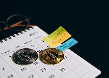 Bitcoin vs. Altcoins: Why Bitcoin Continues to Lead the Cryptocurrency Market